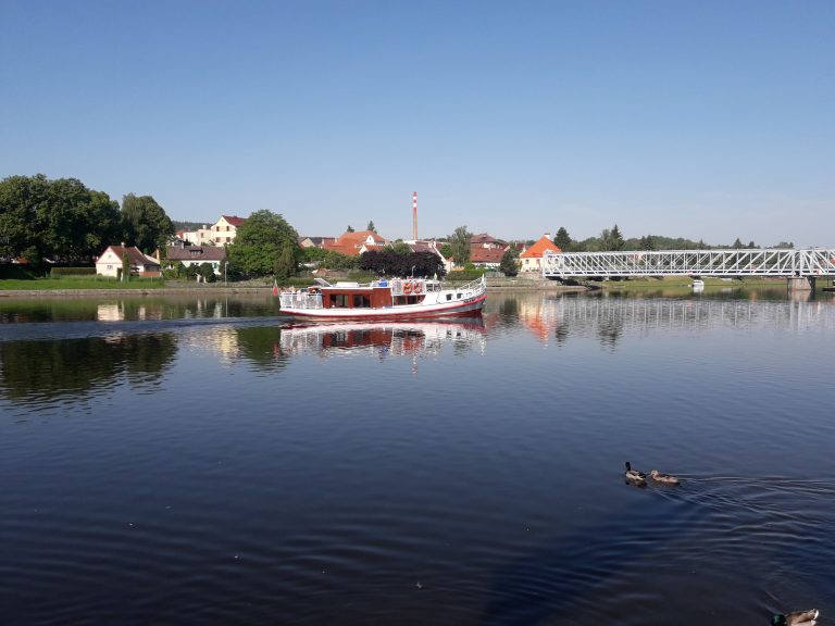 20190604_084203.jpg